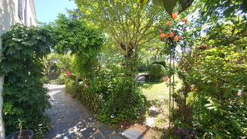 A garden pathway with a variety of plants and flowers, leading to a grassy area.