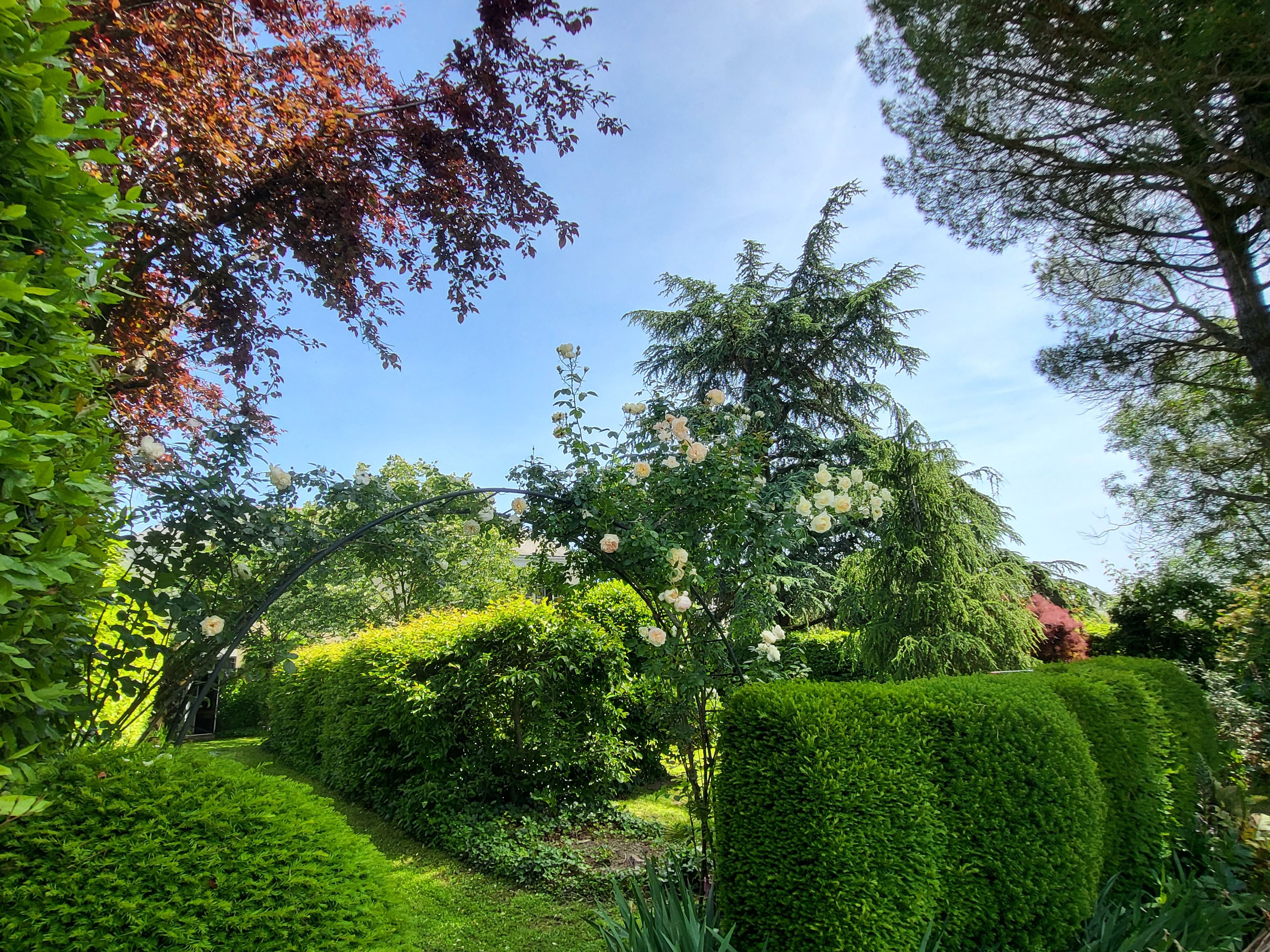 Un jardin avec des haies bien entretenues, une variété d’arbres et un ciel bleu dégagé.