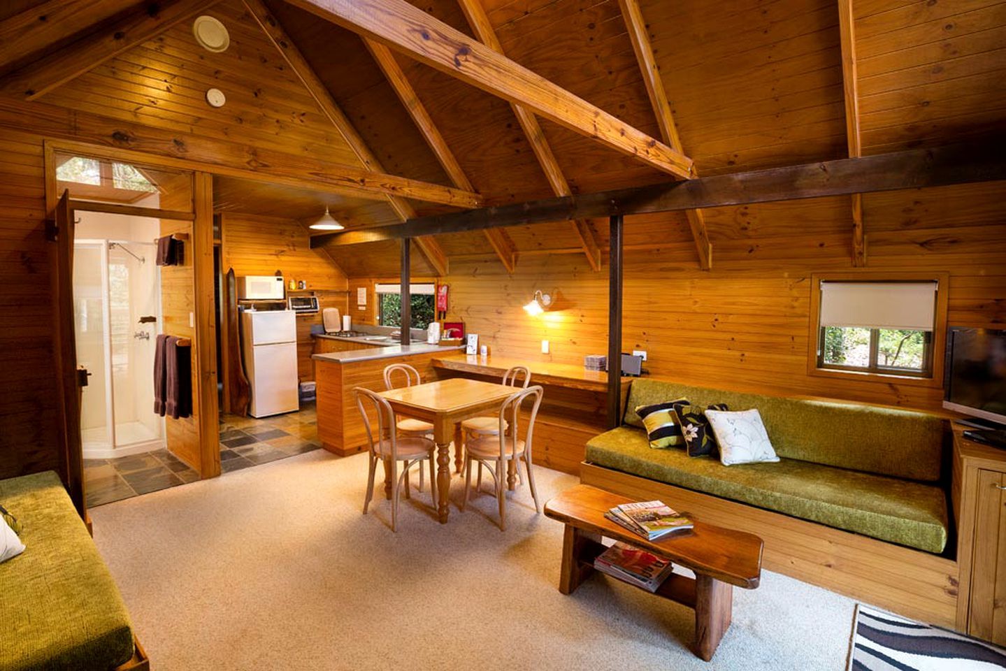 TV, fireplace, DVD player