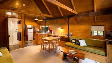 TV, fireplace, DVD player