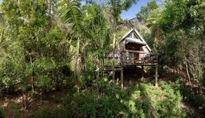 Una cabaña de madera con terraza, rodeada de un bosque denso.