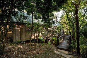 A wooden structure with a metal roof, surrounded by dense foliage and a wooden pathway leading to it.