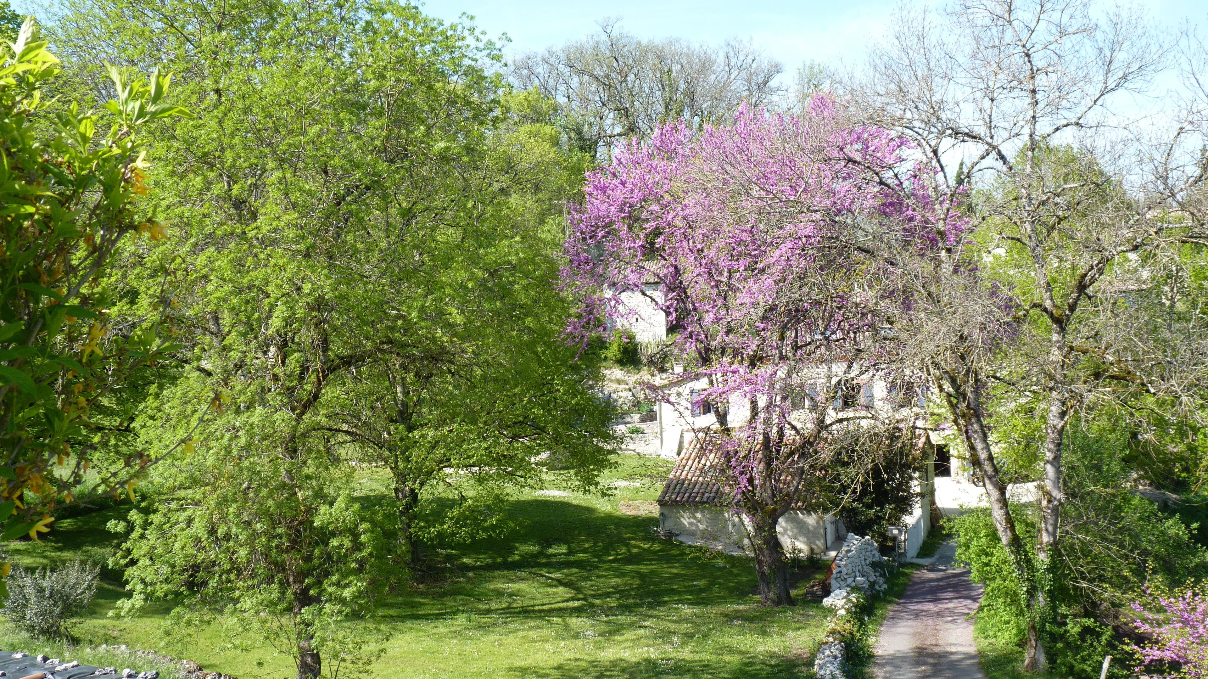 Un jardin luxuriant, avec une variété d’arbres, un sentier en pierre et un bâtiment blanc doté d’un toit recouvert de tuiles.