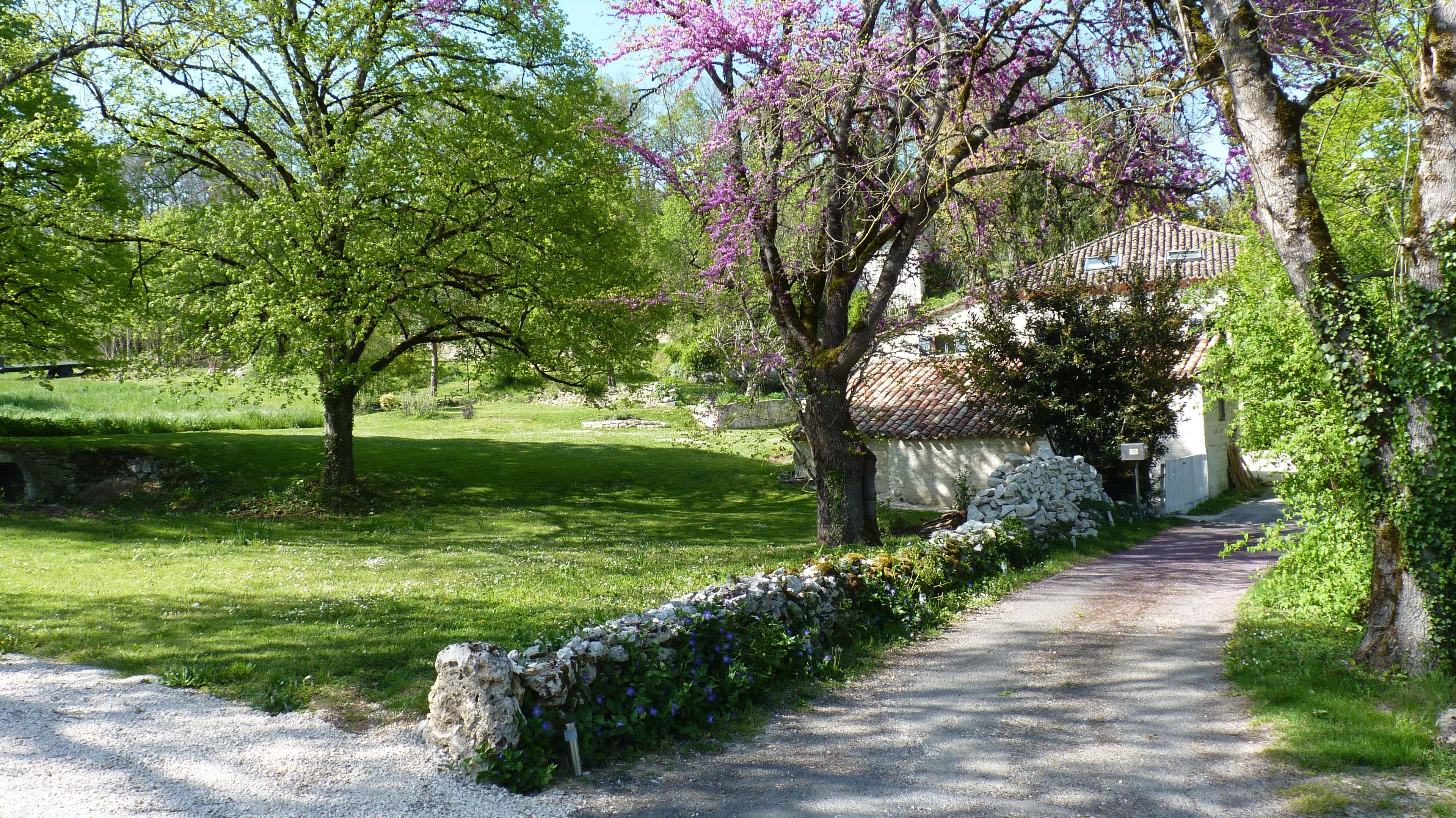 Un sendero rural que conduce a un edificio tradicional de piedra con techo de tejas, rodeado de exuberante vegetación y árboles en flor.