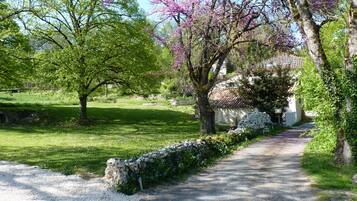 Un sendero rural que conduce a un edificio tradicional de piedra con techo de tejas, rodeado de exuberante vegetación y árboles en flor.