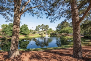 Un parc paisible avec un étang, des arbres et une fontaine.