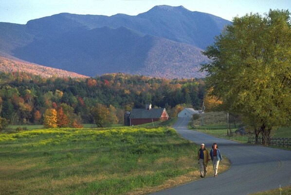 A rural road with a barn and trees in the background.