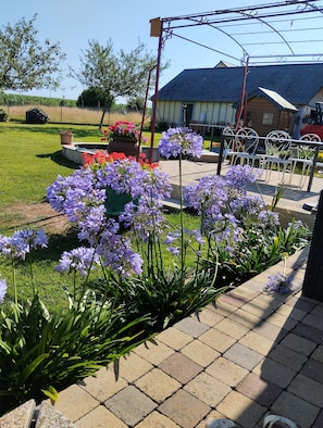 Un jardín con flores moradas, un camino empedrado y un edificio con techo azul al fondo.