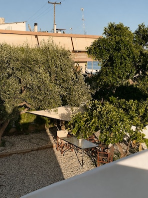 An outdoor seating area with a table and chairs, surrounded by olive trees and a gravel path.