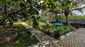 A garden with a paved walkway, various plants, and a palm tree.