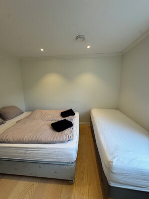 A room with a bed, a smaller bed, and a ceiling light fixture.