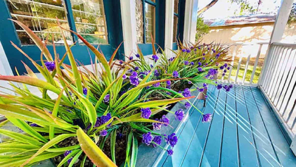 A porch with potted plants and a blue railing.