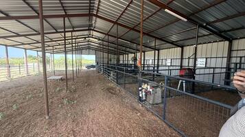 A covered indoor riding arena with metal fencing, a dirt floor, and a metal roof structure.