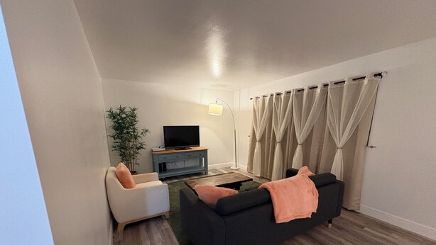 Un salon avec un canapé, un téléviseur posé sur un meuble, une lampe sur pied et une plante.