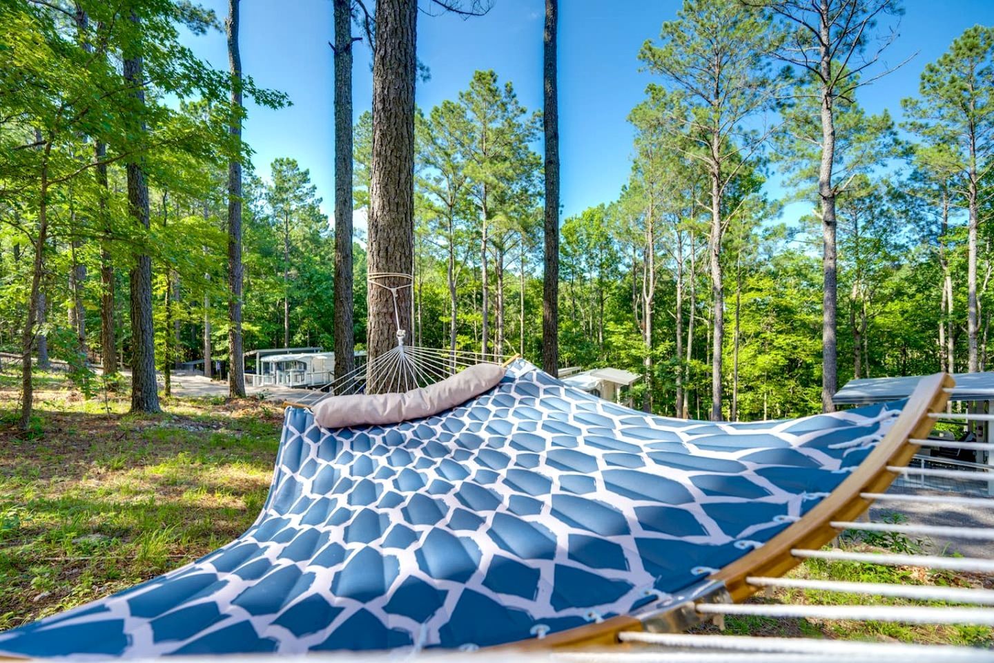 A hammock in a forested area with a clear sky.