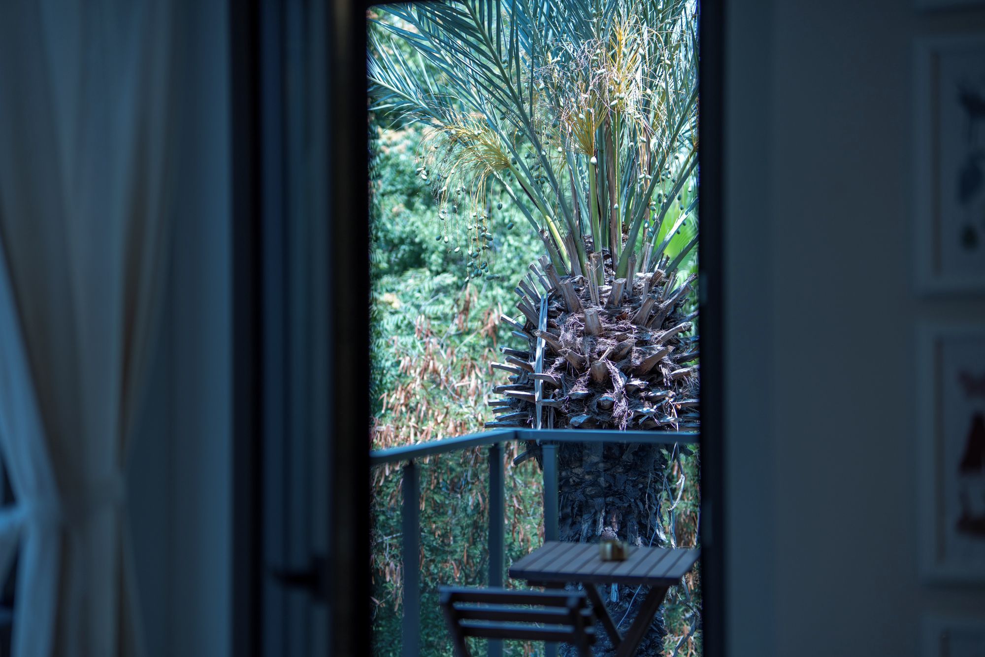 A view through a window with a table and chairs outside, surrounded by greenery.
