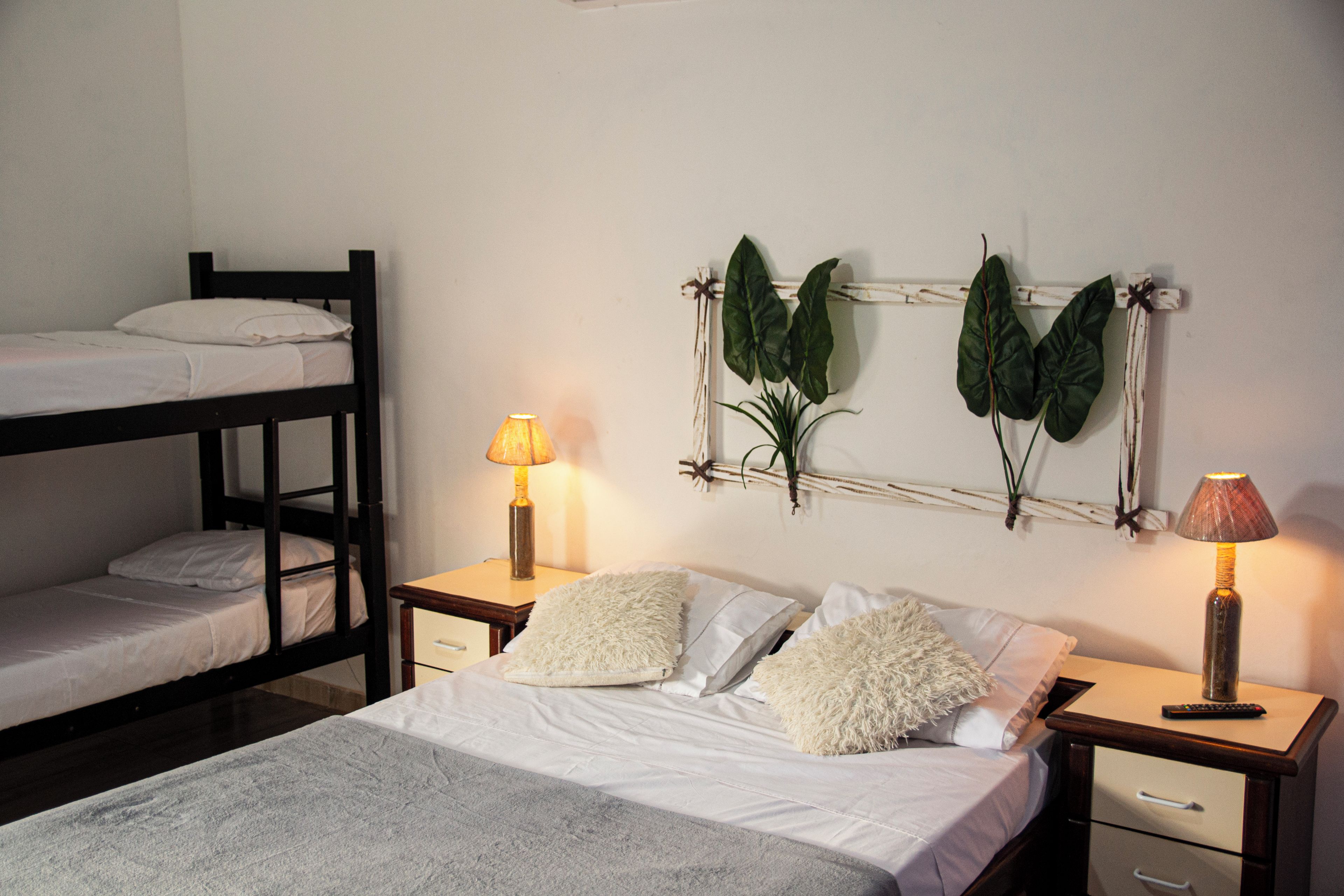 Una habitación con literas, una cama individual con un almohadón mullido, dos mesitas de noche con lámparas y plantas colgantes en la pared.
