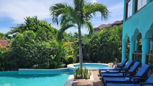 En swimmingpool med liggestole, omgivet af tropisk vegetation og en bygning med buede vinduer.
