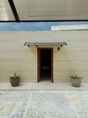 A building entrance with a covered walkway, a door, and two potted plants.