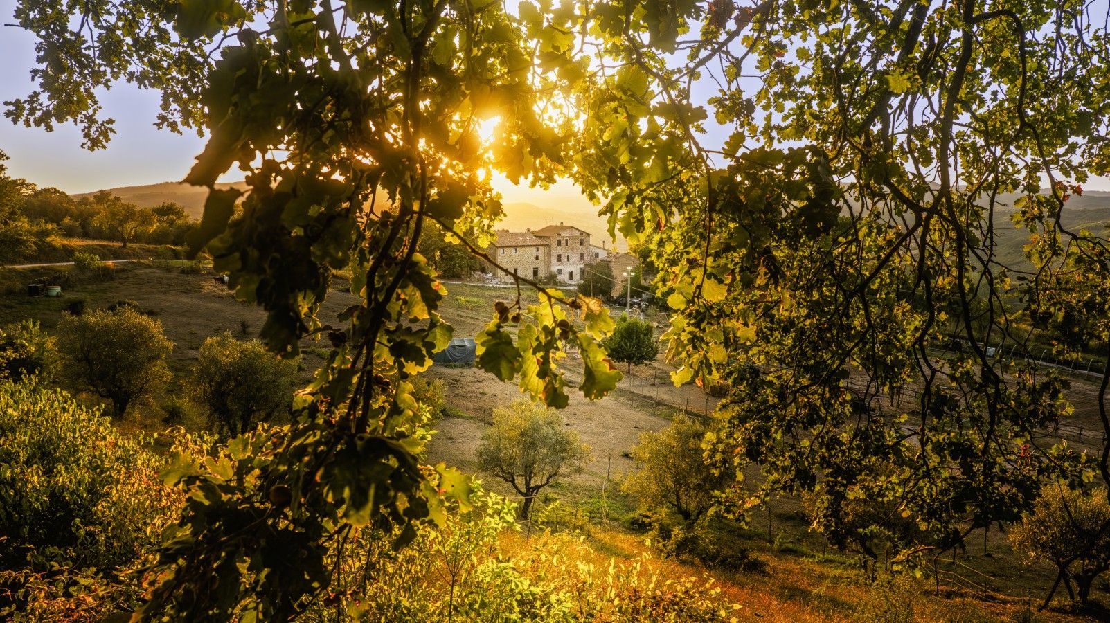 A building surrounded by trees and vegetation, with sunlight filtering through the leaves.