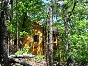 Eine Blockhütte, umgeben von dichtem Wald.