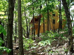 A wooden cabin surrounded by dense forest. - Luxury Log Cabin Rental with Beautiful Forest Views near Branson, Missouri (Branson)