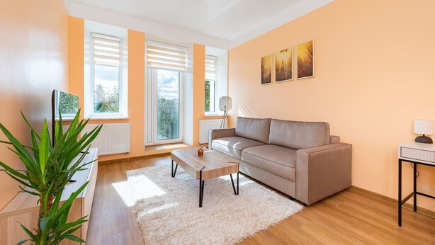 A modern living room with a sofa, a coffee table, and a potted plant. - Dariaus and Girėno Ap. by Polo Apartments (Kaunas)