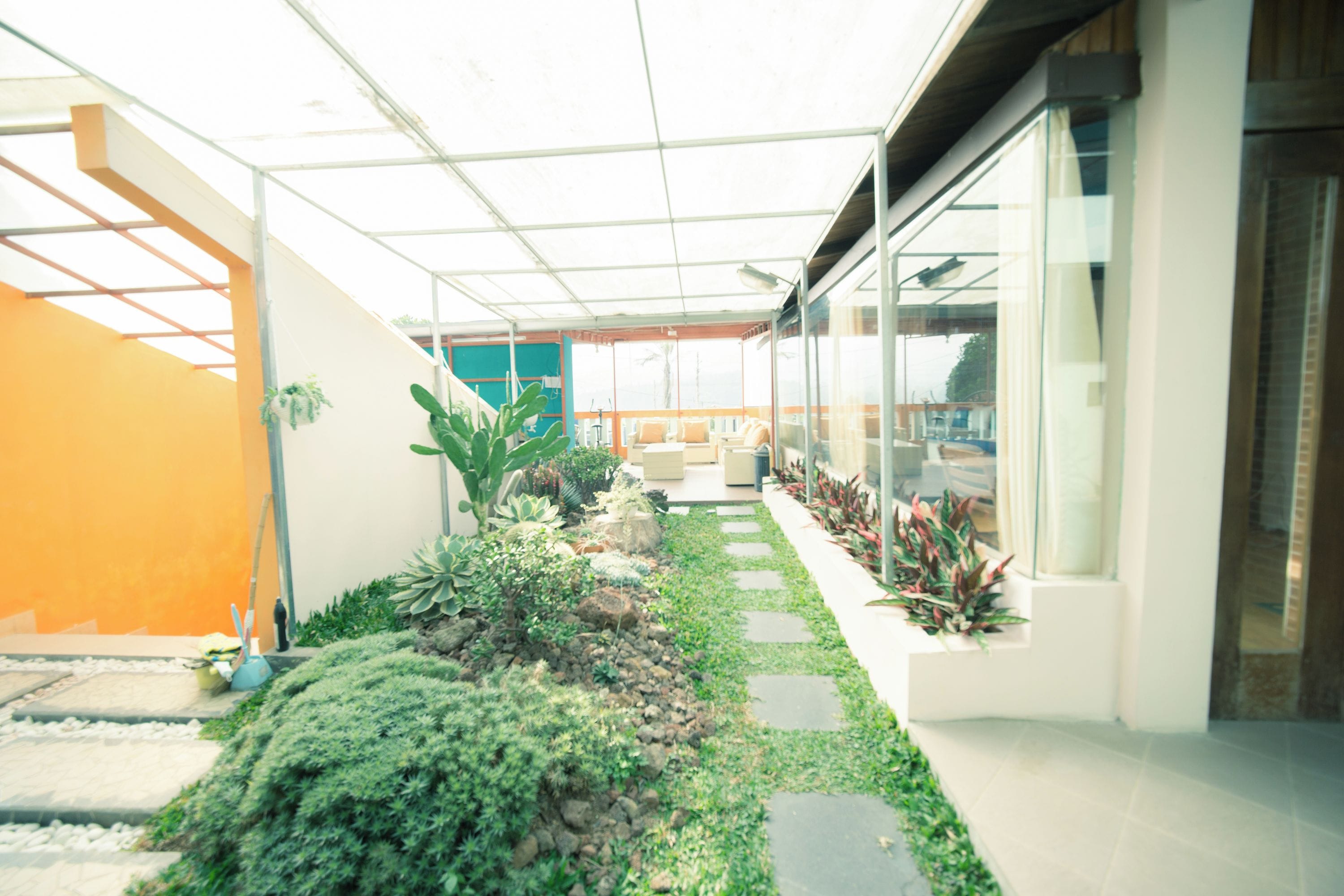 A modern outdoor space with a glass wall, a pathway, and various plants.