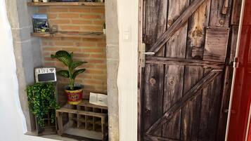 Un intérieur rustique avec une porte en bois, un mur en briques et une étagère où sont posés des livres et un pot de fleurs.