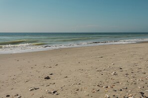 A beach with a sandy shore and scattered seashells. - North Myrtle Beach | Marsh Escape | Pool & Beach Access | 2BR Villa (North Myrtle Beach)