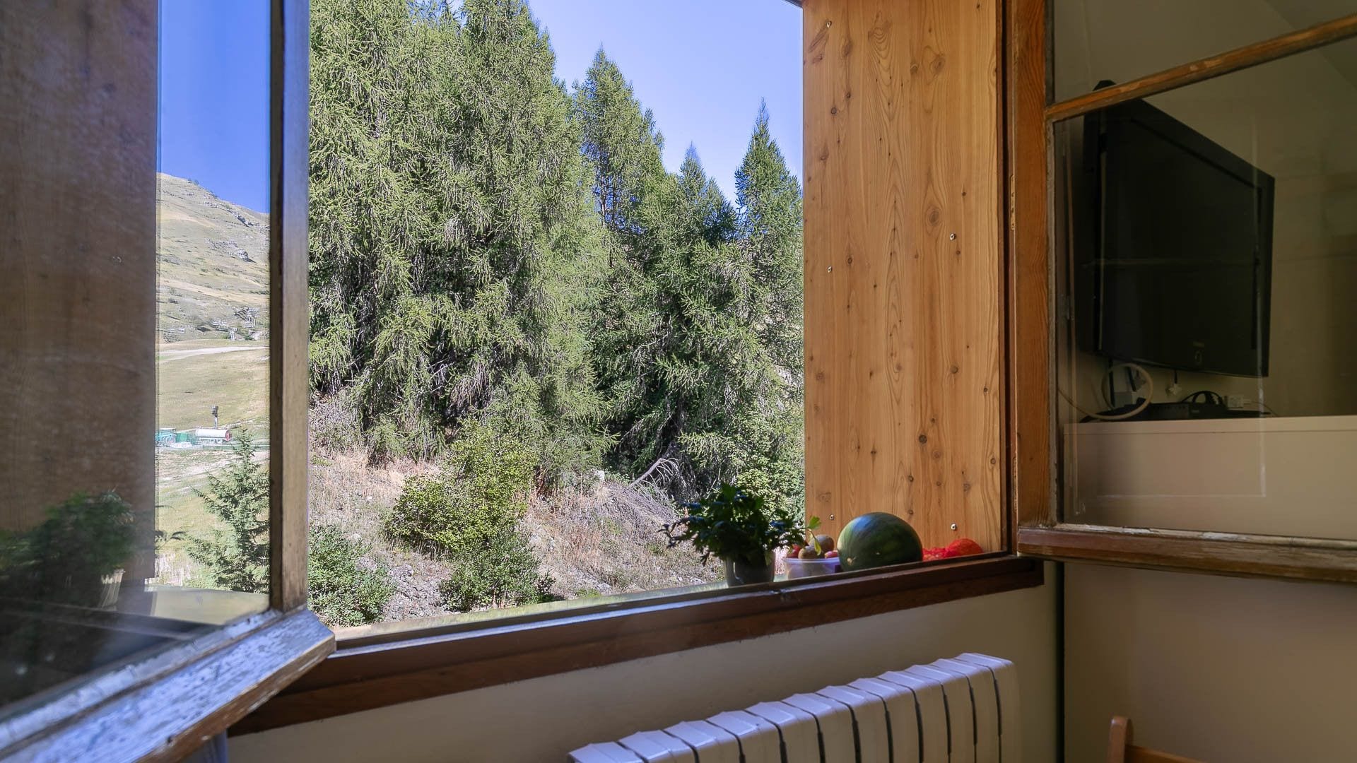 A room with a window overlooking a forested hillside, a radiator, and a television on the wall.
