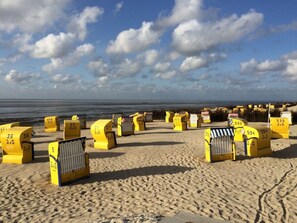 Ein Strand mit gelben Strandhütten, die nummeriert und in Reihen angeordnet sind.