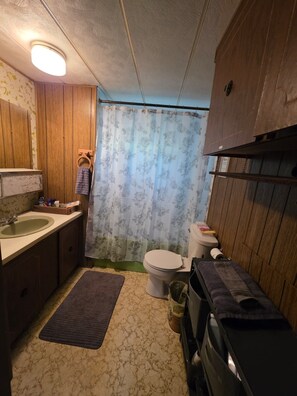 A compact bathroom with a sink, toilet, and shower curtain. - Peaceful Cabin Retreat on Lake Ann. 4-bedrooms perfect for relaxing getaway. (Stephenson)