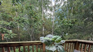 Une terrasse en bois avec une table ronde et deux chaises, entourée d’une végétation luxuriante et d’arbres.