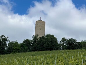 A tower with a flag on top, surrounded by trees and a field of crops.