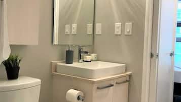 Shower, hair dryer, shampoo