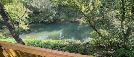 A wooden deck overlooking a river with dense greenery and trees.