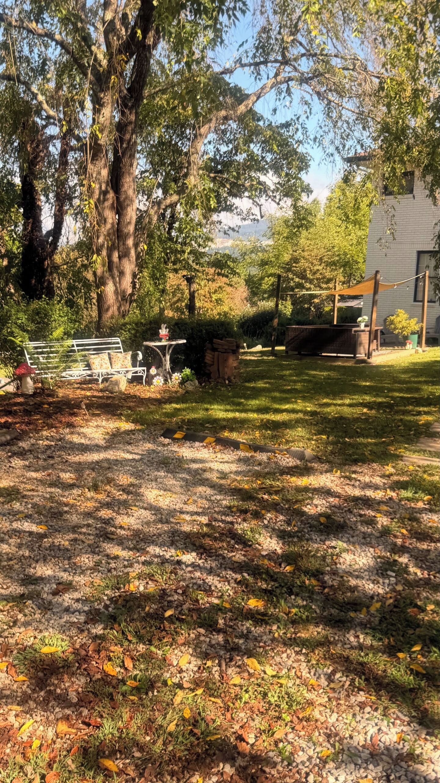 Un jardín con un banco, una mesa y un árbol grande.