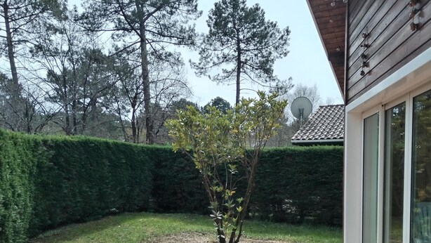 Una terraza de madera con un pozo de fuego de piedra, rodeada por un seto y árboles.