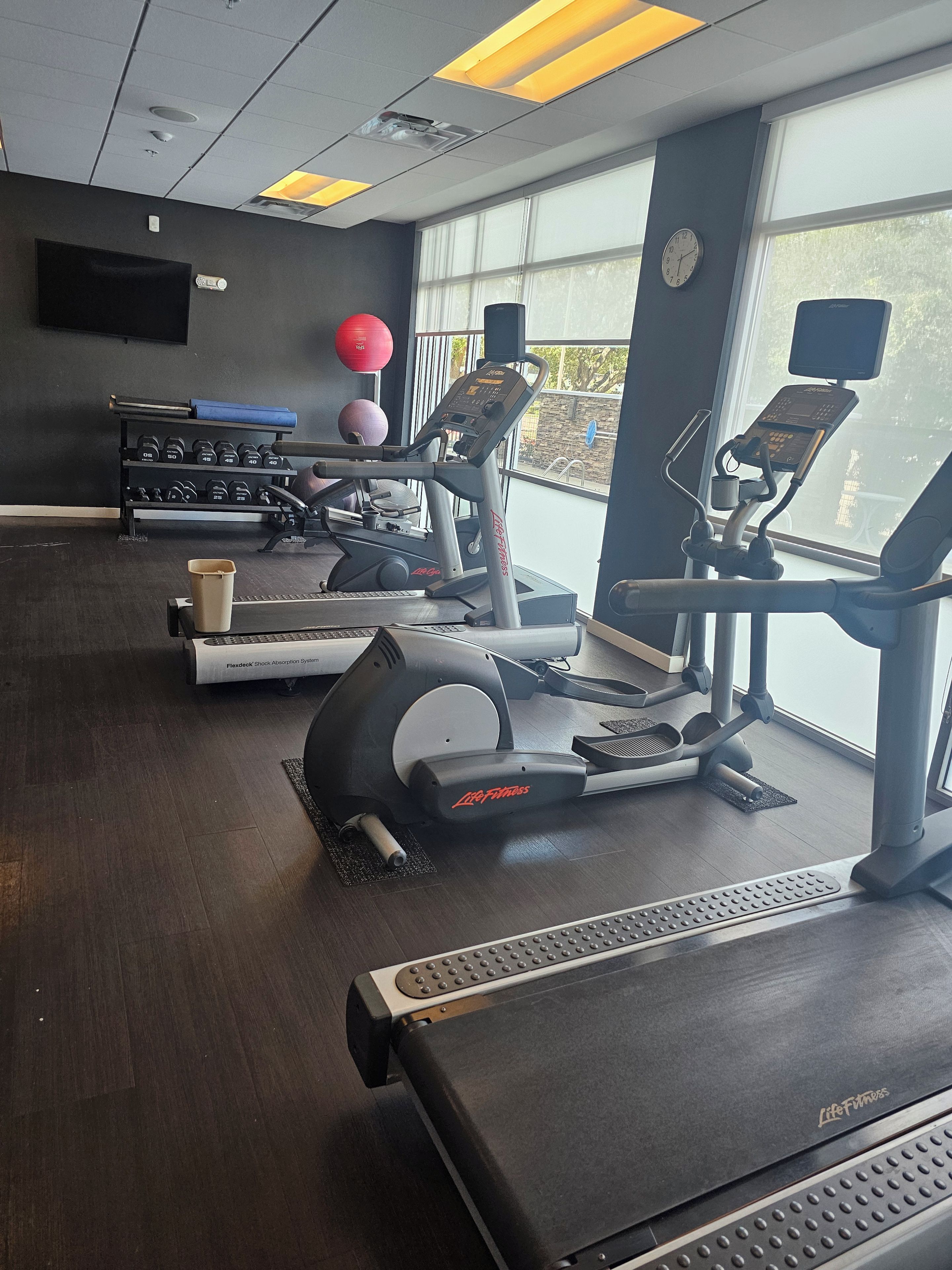 A gym with treadmills, a weight bench, and exercise balls.