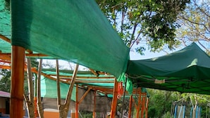 Uma área externa com mesas e cadeiras, coberta por toldos verdes, e cercada por árvores.