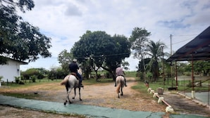 Duas pessoas cavalgam em um caminho de cascalho com superfície verde, cercadas por árvores e um edifício branco.