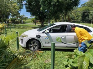 Electric vehicle-charging station - www.elcocobolofoodanrest.com (Canas Dulces)