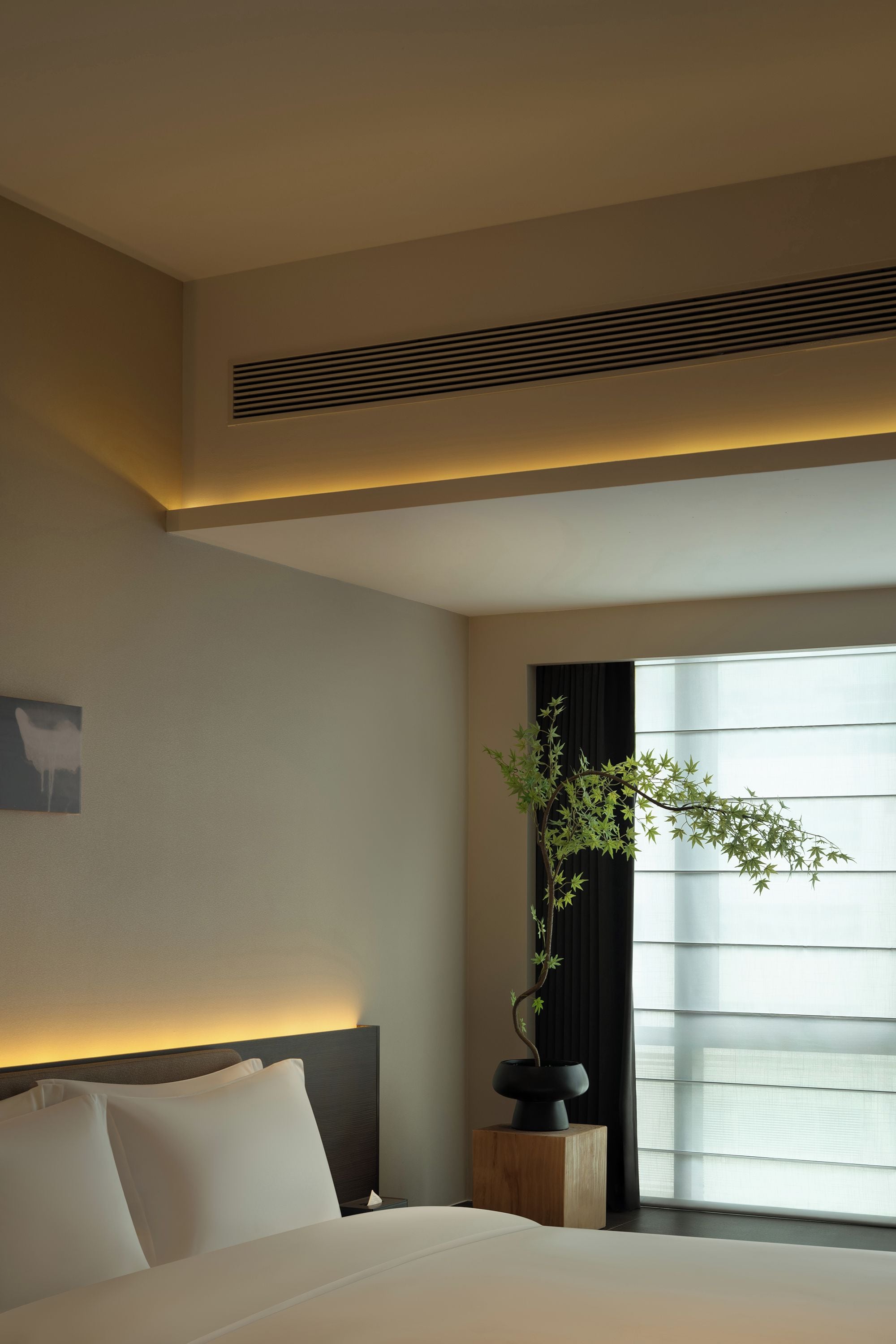 Una habitación de hotel con una cama, una planta en maceta, una mesita de noche y un ventanal con cortinas.