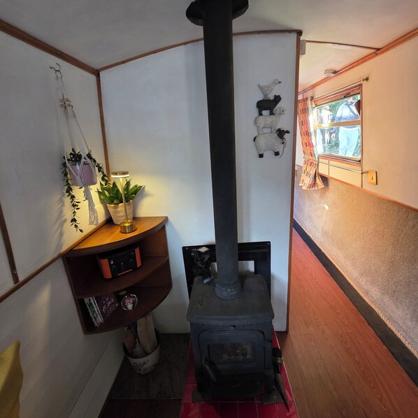 A room with a wood-burning stove, a shelf with books and a plant, and a window with a view of the outside.