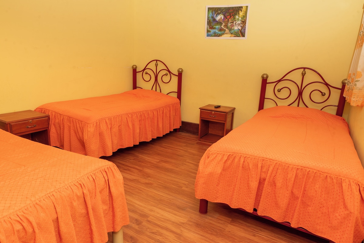 Een kamer met twee eenpersoonsbedden, een klein nachtkastje en een foto aan de muur.
