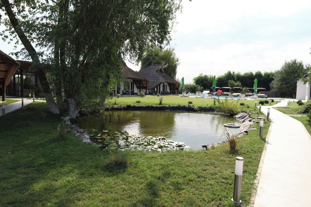 A pond with a thatched-roof building, a paved walkway, and a grassy area with trees.