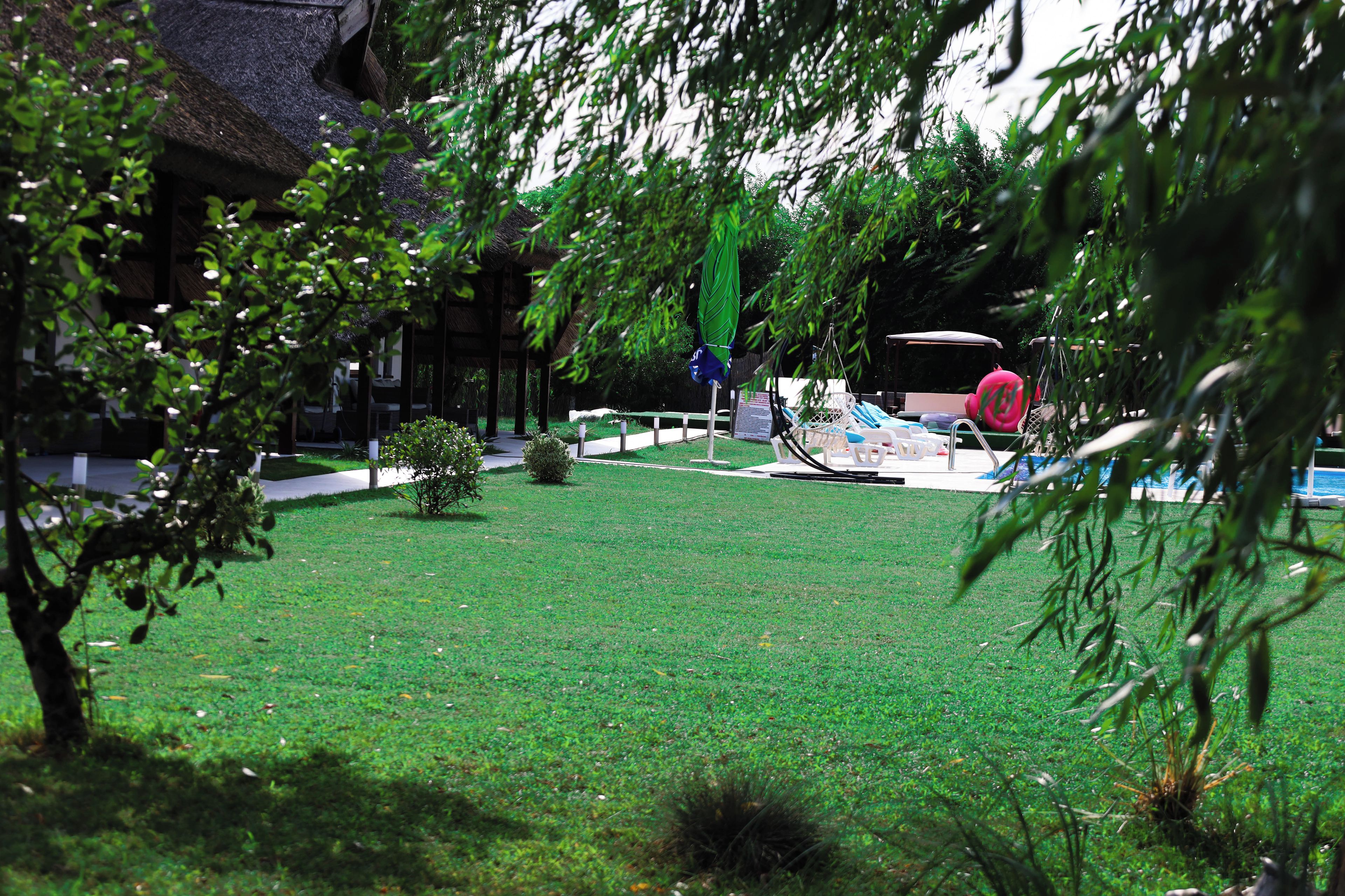 A park with a grassy area, a small pond, and a gazebo.