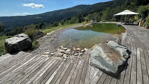Una terraza de madera con un estanque cristalino, rodeada de rocas y follaje, con vistas a una ladera boscosa.