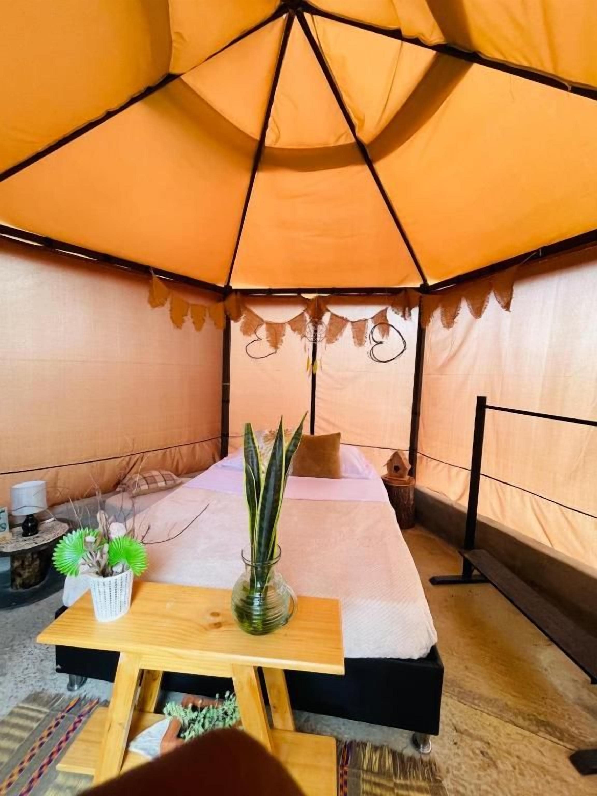 Habitación tipo tienda de campaña con una cama, una mesita pequeña y una planta en maceta.